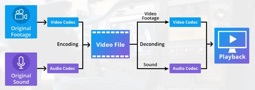 What Codec is Best for Squarespace Video