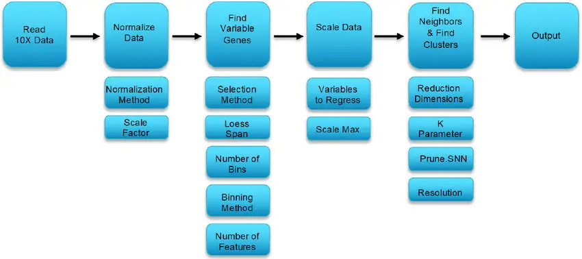 How to Find the Best Cluster Resolution in Seurat Pipeline