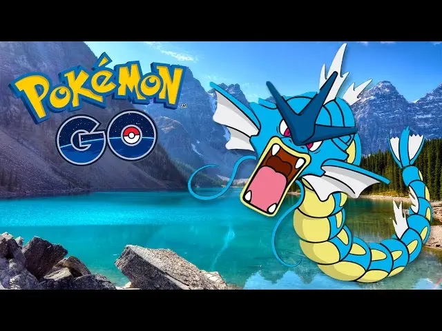 What Is Gyarados's Best State?