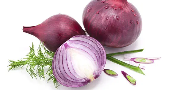 Will a Small Amount of Onion Hurt My Dog?