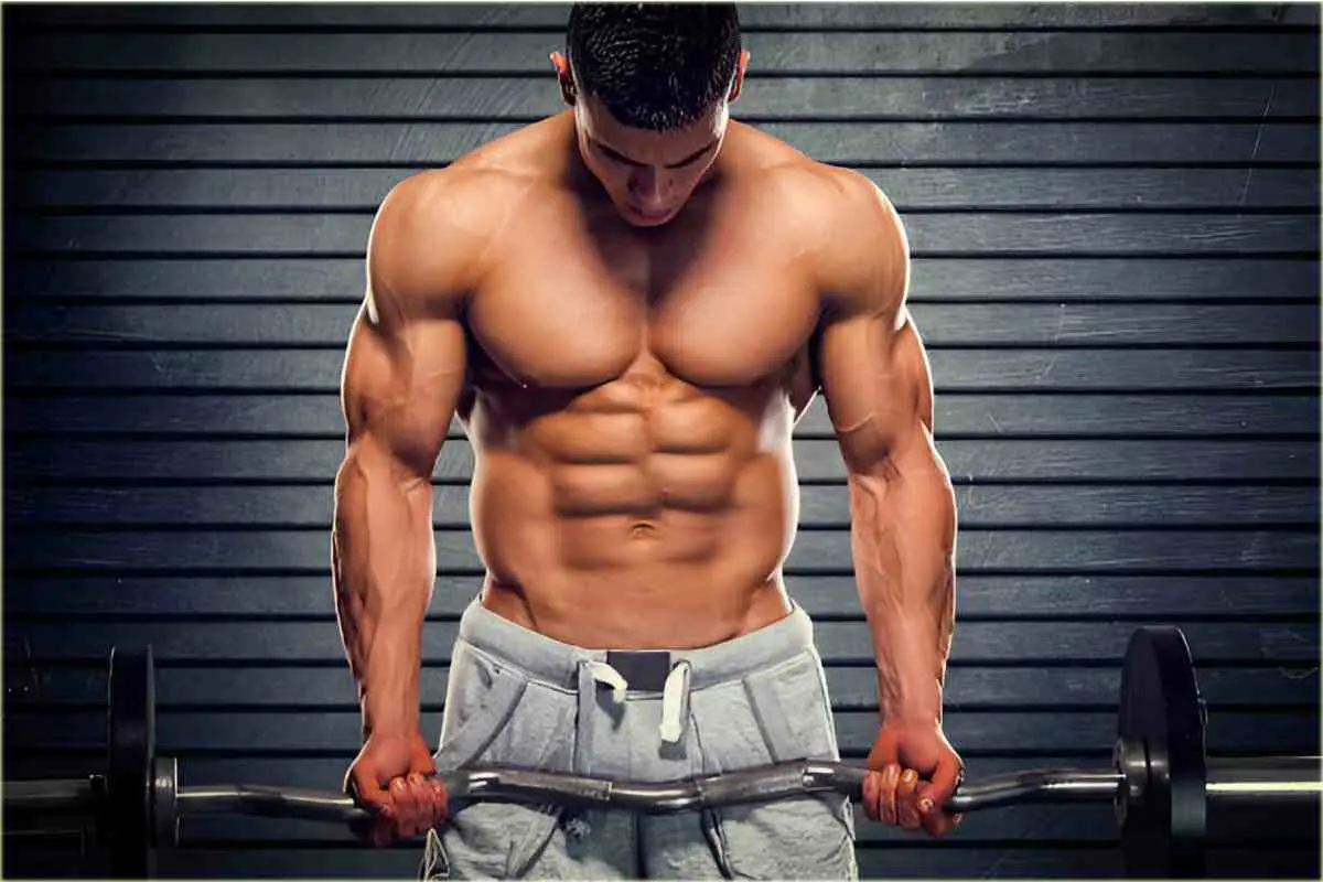 Foundation for Muscle Growth