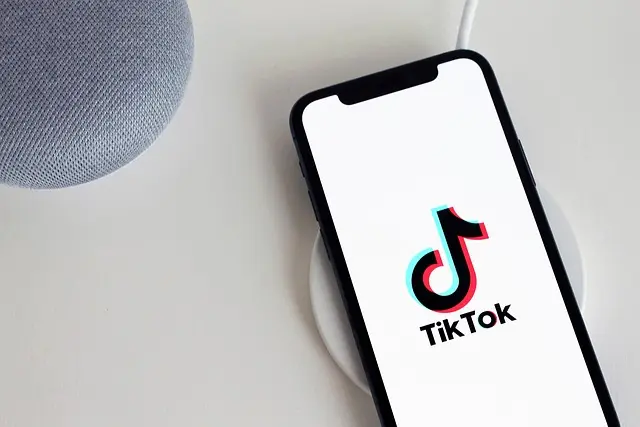 TikTok Set to Remove Executive Tasked With Fending Off US Claims