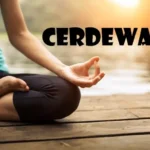 Cerdewasa