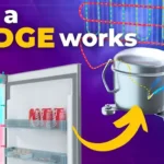 Training in How a Fridge Works