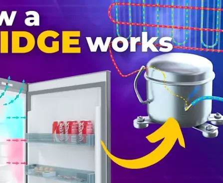 Training in How a Fridge Works