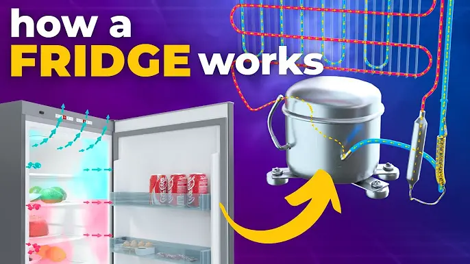 Training in How a Fridge Works