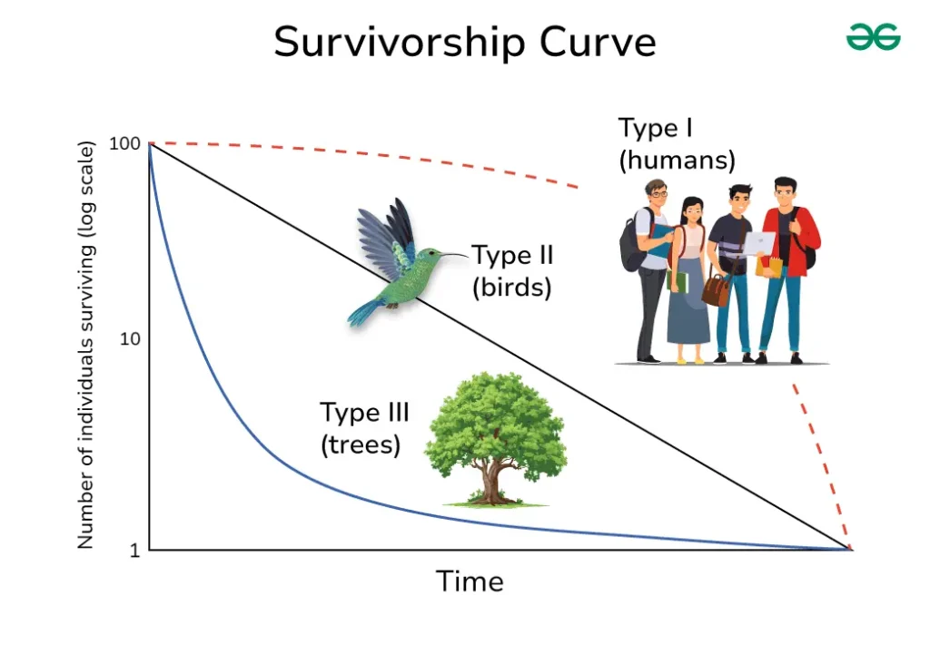 What Survivorship Curve Best Represents Humans?