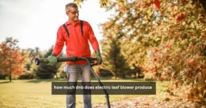 how much dnb does electric leaf blower produce