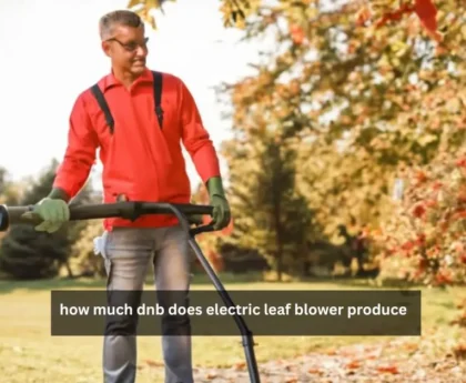 how much dnb does electric leaf blower produce