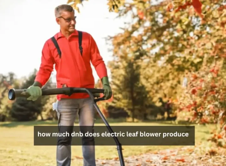 how much dnb does electric leaf blower produce