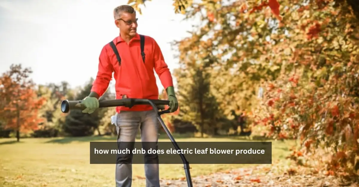 how much dnb does electric leaf blower produce