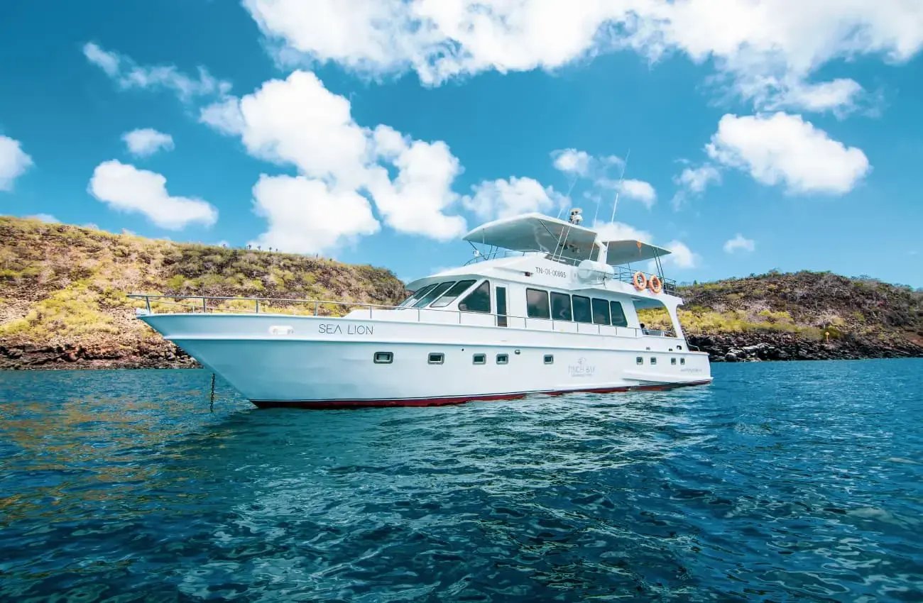 Galapagos on Our Sea Lion Yacht